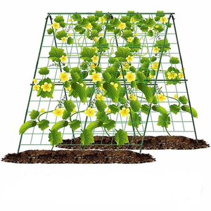 48 "H x 48" L dưa chuột <span class=keywords><strong>trellis</strong></span> cho lớn lên giường có thể điều chỉnh vườn <span class=keywords><strong>trellis</strong></span> với leo Net - Product Image 1
