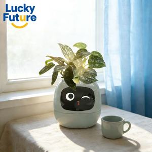 Planteur intelligent multifonctionnel AI pour balcon et bureau - Pot de fleurs numérique interactif sur le thème des animaux mignons - Product Image 1