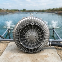 Penjualan Terlaris 5.4 HP 4/4.6kW Blower Regeneratif Tekanan Tinggi Ring Air Blower untuk Sistem Aerasi Tambak Ikan Akuakultur