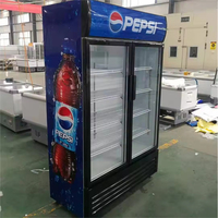 Réfrigérateur à boissons Pepsi à bas prix avec porte en verre pour congélateur vertical d'affichage et de promotion des boissons