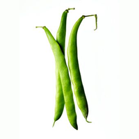 Frijoles de la Marca Moon Star Premium, Variedad para Cultivo Comercial, con Excelente Uniformidad de Vainas, Crecimiento Fuerte, Alto Potencial, 99%