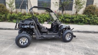 Buggy tout-terrain 200CC 4X2 / Buggy de dune / Karting EEC