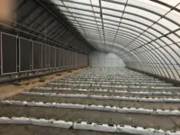 Serre de légumes fraise plantation agricole serre avec couverture plantation d'isolation d'hiver