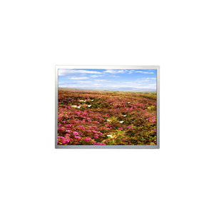 PM070WX7 <strong>7</strong>.0 Inch 800*480 TFT Touch <strong>LCD</strong> <strong>Display</strong> Screen for Automotive <strong>Display</strong> - Product Image 1