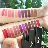 Rouge à lèvres mat en velours sexy rouge brun, longue tenue, teinte nude, 9 couleurs, maquillage pour femmes