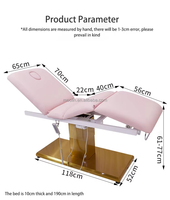 MOOLIN Offre Spéciale Lit de Soin Moderne pour Cils, Mobilier de Salon de Beauté, Table de Massage, Lit de Tatouage, Lit de Spa Facial Électrique Réglable à 3 Moteurs
