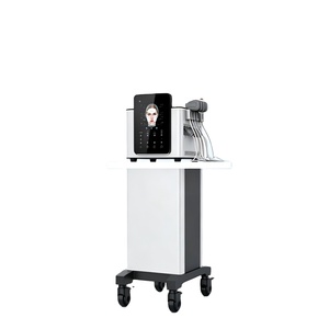 Découverte de la technologie EM PE : Comment la technologie électromagnétique transforme le raffermissement et le lifting du visage - Product Image 1