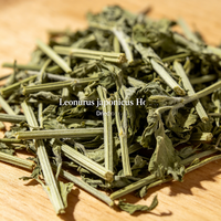 Herbe de mère-vierge (Leonuri Herba) – Plante aromatique, matière première pour tisanes, boissons solides, arôme naturel, encens, savon, shampoing