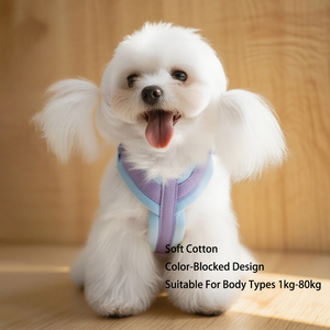 Wholesale Custom Logo Minimalist Corduroy 5 Uses <b>Dog</b> <b>Collar</b> And Leash Set Harnesses With Bibs Poop Bag Pet Leashes - Product Image 3