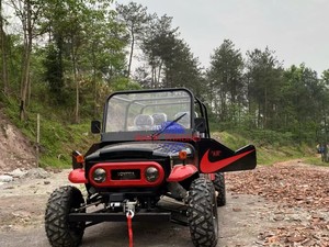 Factory Wholesale MH Brand 4 Wheel Go Cart 200cc Petrol Dune <b>Buggy</b> 4x2 4x4 Farm Utility Vehicle Utv Q235B Steel 351-450HP - Product Image 4