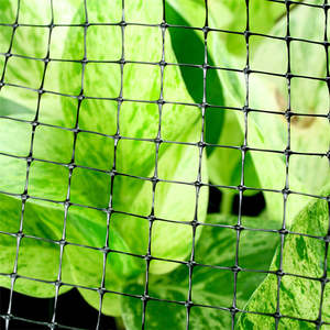 <span class=keywords><strong>Filet</strong></span> en plastique PP pour jardin, anti-oiseaux, clôture pour élevage de poulets, <span class=keywords><strong>filet</strong></span> pour vignoble - Product Image 4