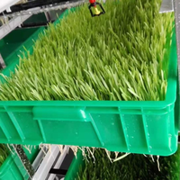 Machine commerciale automatique de germination de graines hydroponiques pour la production de fourrage vert, la culture d'orge, de haricots et de soja, destinée à l'alimentation animale et humaine, en vente pour fermes