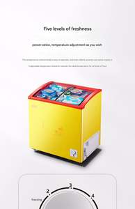 Congelador Horizontal con Puerta de Vidrio para Supermercados Pequeños, para Almacenar Helados, Agua, Bebidas, Cerveza, Alimentos, etc. - Product Image 5