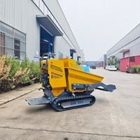 Kleine Raupenlader-Muldenkipper für landwirtschaft liche Betriebe Mini Dumper 500kg Motor lager pumpe 1 Jahr Garantie Kostenlose Lieferung