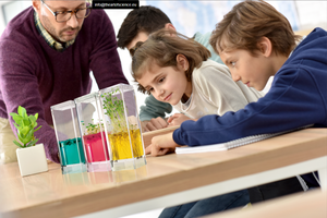 Kit de laboratorio de jardín para profesores de estilo rural, ecosistema de cultivo para <span class=keywords><strong>estudiantes</strong></span> para interiores o exteriores, uso de vivero en el hogar, macetas para cultivo de flores - Product Image 5
