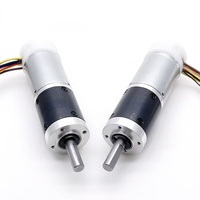 Motor DC Tanpa Sikat 12V dengan Driver Terintegrasi TEC2430 Tahan Lama, Motor Tanpa Sikat 24V