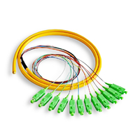 Cable de Fibra Óptica NX CORE de Alta Calidad, SC/APC, 12 Núcleos, Tipo Pigtail, para FTTH, Qingdao, en Oferta