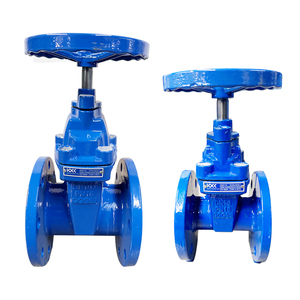 วาล์วประตูเหล็กดัดชนิดยืดหยุ่นพร้อมหน้าแปลนยาง รุ่น BS5163 DIN3202 3352 F4/F5 SABS663 JIS5K 10K OS&Y Nrs Z45X SABS 664 - Product Image 4