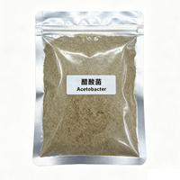 Acetobacter 10 milliards UFC/g Inoculant Microbien pour la Fabrication du Vinaigre Poudre de Bactéries Acétiques Qualité Alimentaire Fermentation Acétique