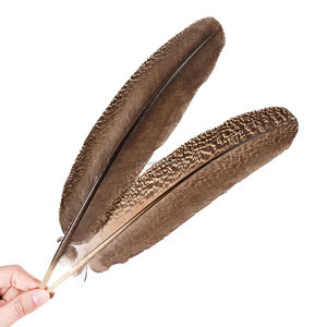 Plumas de Pavo Real Naturales con Rayas Marrones de 10-12\"/12-14\" al por Mayor para Decoración - Product Image 4