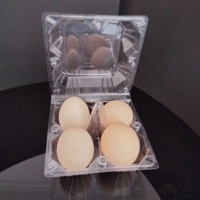 Plateau à œufs de caille en plastique transparent, emballage avec couvercle