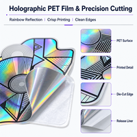 Custom Printed PET Material Holographic Labels Samples for Consumer Electronics Factory Supply with Roll and Sheet Options