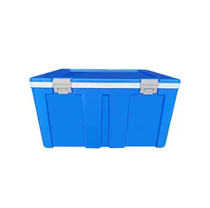 Outdoor camping cooler box cold container icecream frozen food transport storage