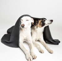 Couverture en molleton importée d'Allemagne pour animaux de compagnie Tapis de confort universel toutes saisons pour petits, moyens et grands chiens Couverture d'hiver pour animaux de compagnie