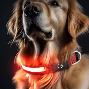 <span class=keywords><strong>Collar</strong></span> de alta calidad con luces LED para perros y mascotas, <span class=keywords><strong>collar</strong></span> ajustable de poliéster que brilla en la noche para mascotas, perros, gatos, cachorros, <span class=keywords><strong>collar</strong></span> intermitente luminoso seguro - Product Image 3