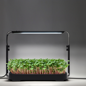 Kit de culture compact pour micro-légumes d'intérieur et de table, avec plateau hydroponique auto-arrosant et minuterie LED - Product Image 1
