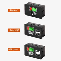 Voltmètre de batterie de voiture USB Type C DC8-100V 4829, indicateur de niveau de charge, testeur de capacité de batterie au lithium, affichage LED