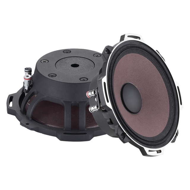 High Professional Speaker With Neo Magnet 250 W Speaker 6.5 Inch Neo Mid Range