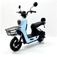 Speedometer Digital Sepeda Listrik 48V 500W, Keranjang Depan Logam, Jok yang Dapat Disesuaikan, Kontroler Tahan Air untuk Dewasa