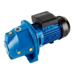 Bomba de Agua Autocebante Eléctrica de Alta Presión de 0.75Hp para Jardín, Riego Agrícola, Bomba de Chorro de Agua de la Mejor Calidad - Product Image 3