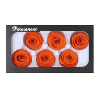 Ecuador Konservierte Rosenköpfe 5-6cm Rote Farbe Langlebige Rosen