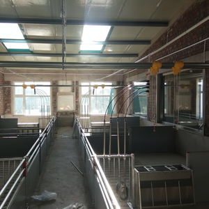 เครื่องให้อาหารหมูสองด้านทำจากสแตนเลสสตีลและแบบด้านเดียวสำหรับใช้ในสภาพใหม่304 - Product Image 1