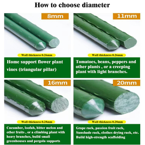 Piquets de soutien pour tomates en fibre de verre de haute qualité, revêtement plastique, tige en PRV de 8 mm, soudables et pliables, couleur personnalisable pour le jardin - Product Image 3