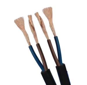 RVV 2*6 300/500V Factory Direct <strong>Manufactured</strong> Low Voltage High Quality Double Cores <strong>Copper</strong> Conductor PVC Insulated Electric <strong>Wire</strong> - Product Image 2
