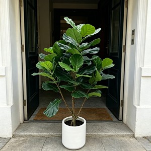 Artificial <b>Tree</b> Green <b>Potted</b> with Piano Leaf Banyan Ornaments for Living Room Floor Simulation - Product Image 3