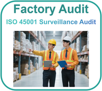 Proveedor Control de calidad Auditoría de fábrica ISO 45001 Vigilancia Auidt