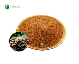 مستخلص فطر ميتيكي (جريفولا فروندوسا) من إس إل بي آي أو بدرجة غذائية، بتركيزات 10:1، 20:1، 30:1 - Product Image 3