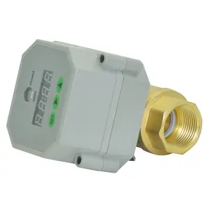 Tonhe auto controlled drain ball valve with timer