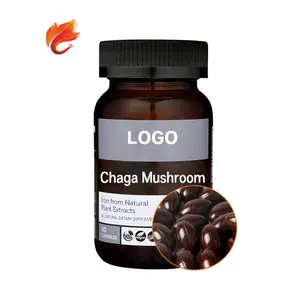 شتاكي مجففة Chaga الفطر جوهر استخراج 1000Mg 500Mg المكملات أقراص OEM