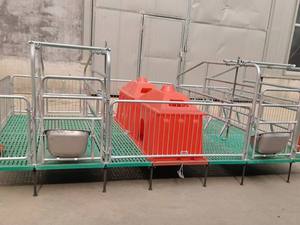 Sows yavrulama kasaları hayvan kafesleri domuz kafesi için yeni çift birim h-tipi domuz yetiştiriciliği ekipmanları - Product Image 6