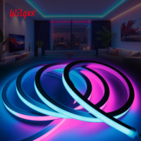 Bande LED néon carrée en silicone 16x16mm IP67, double couche, éclairage lisse sans points, sans zones chaudes, cuivre pur 1mm, pour hôtels