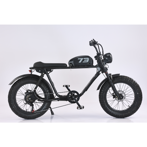 Bicicleta Eléctrica Urbana de 500W con Motor Trasero sin Escobillas, Batería de Litio de 48V 20AH, Neumático Grueso de 20 Pulgadas, 6 Velocidades, Cuadro de Hierro, Modelo JYOP-6 Urban E - Product Image 2