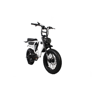 Clear out 48V TO-LANDS 250W/500W/750W/1000W Fat Tire Bicicleta Electrica Mountain City Dirt <span class=keywords><strong>Cruiser</strong></span> Carga Electrica <span class=keywords><strong>EBike</strong></span> - Product Image 2
