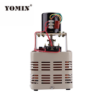 Variac automatique TDGC2-1KVA AVR monophasé 300V, transformateur variable 220V en sortie, fréquence 50Hz pour utilisation SVC, matériau en cuivre