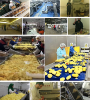 Volautomatische Frites Aardappelsticks Maker Lange Aardappelchipmachine Nieuwe Friteuse Voor Fruitgroente Lijn Shengkang Shengshi