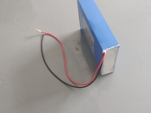 Batería de Iones de Litio LFP19.2V12AH 230WH para Dispositivos Robóticos - Product Image 4